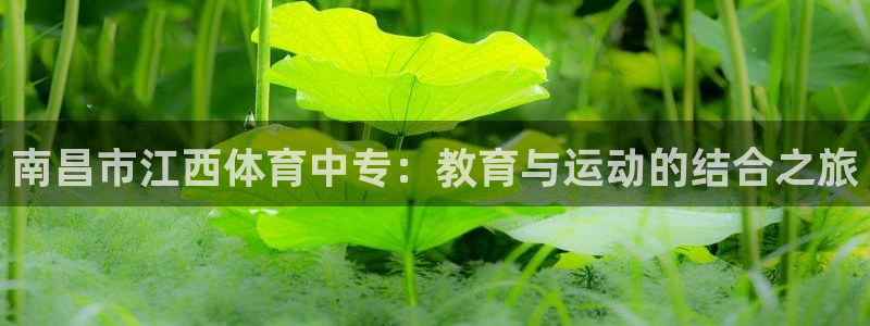 南昌市江西体育中专：教育与运动的结合之旅